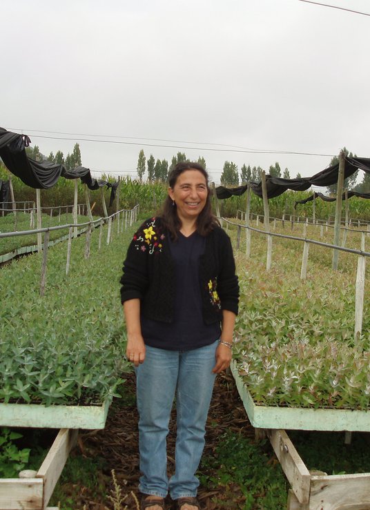 Mycorrhizae Chile Factsheet