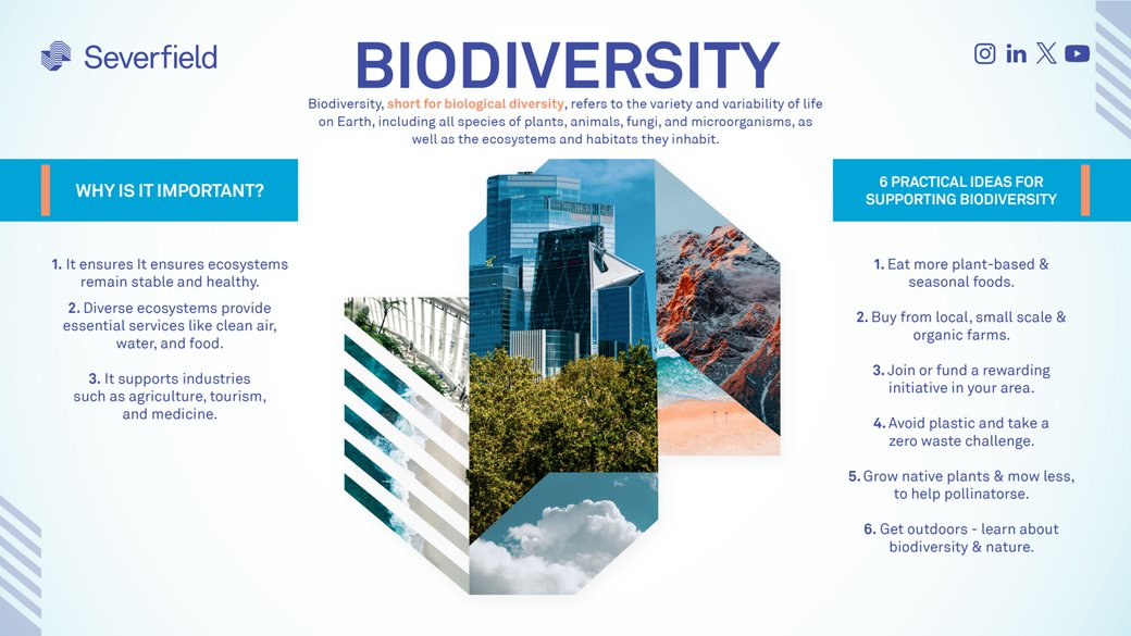 Landscape Version UPDATED HIGH QUALITY